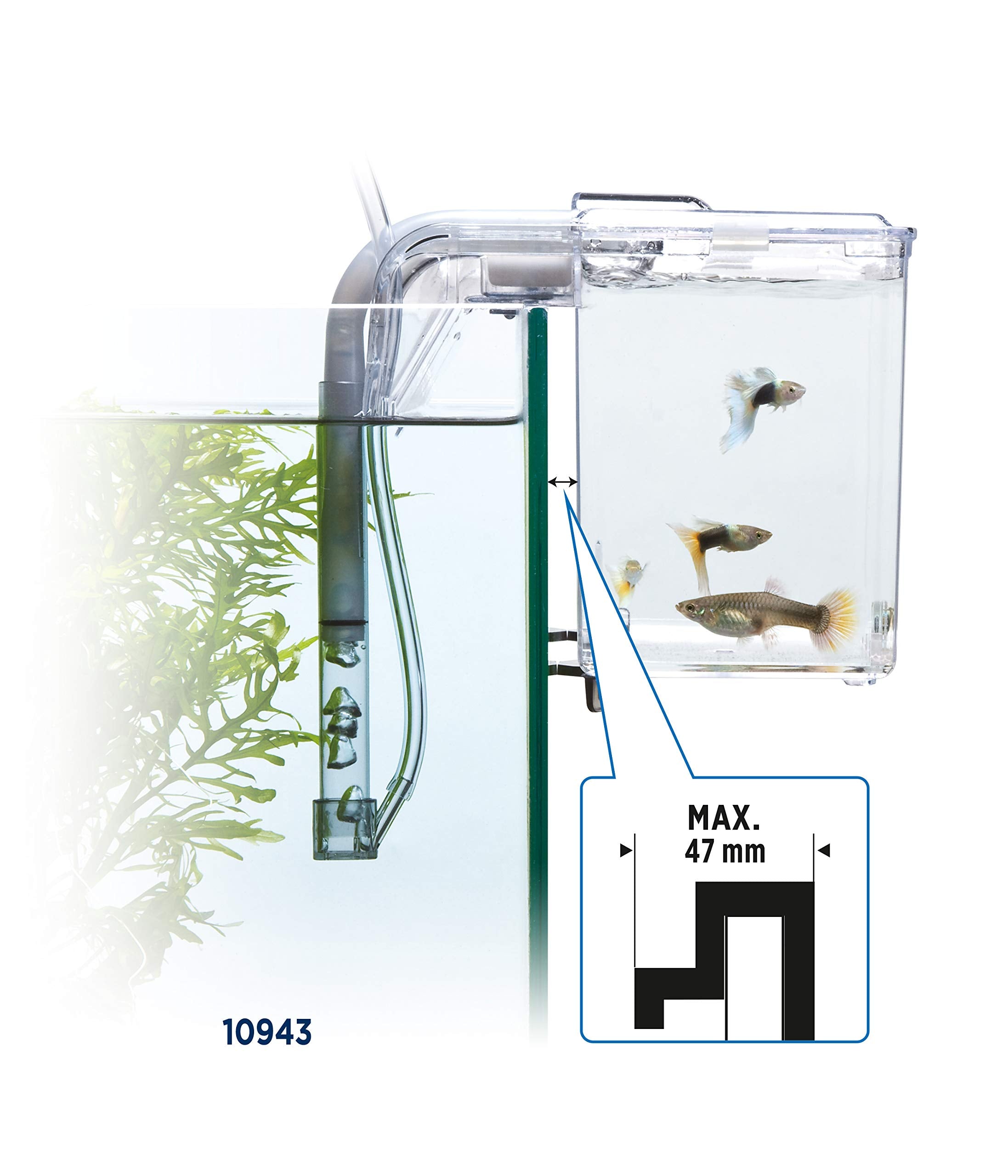 Incubadora Fluval Multi-Chamber para proteger alevines recién nacidos