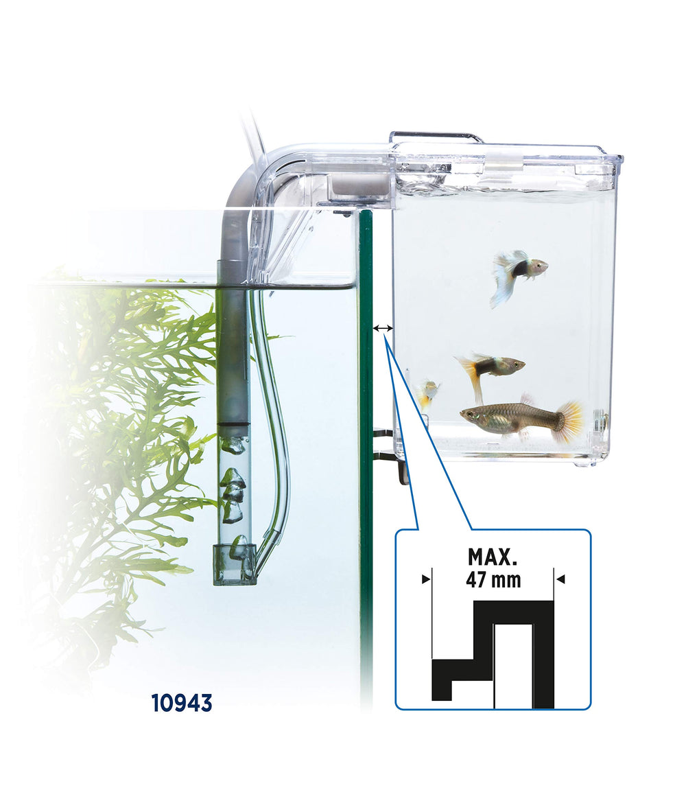 Incubadora Fluval Multi-Chamber para proteger alevines recién nacidos