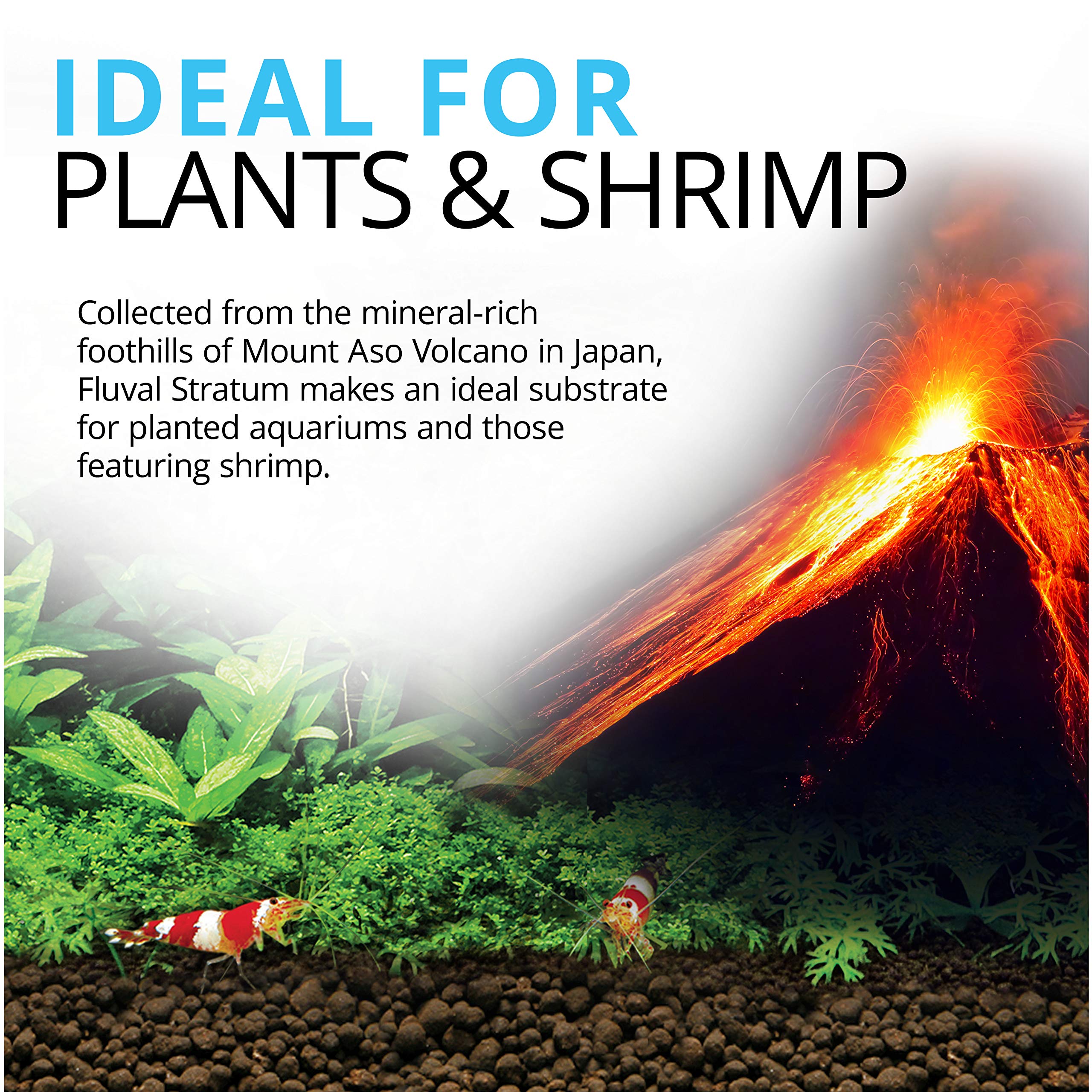 Fluval Stratum favorece la colonización de bacterias beneficiosas para agua clara.