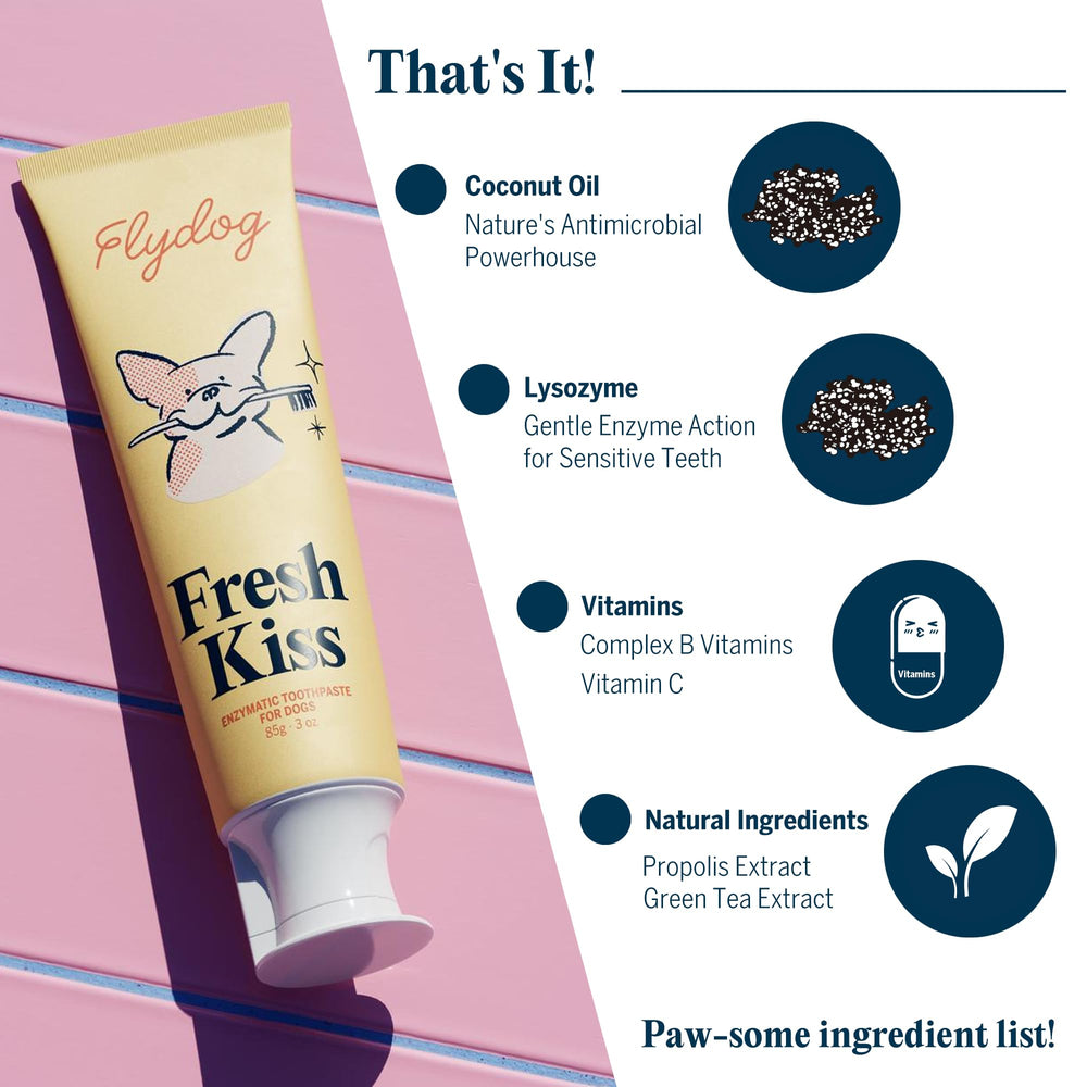 FlyDog Fresh Kiss sabores coco: sabor agradable que facilita cepillados.