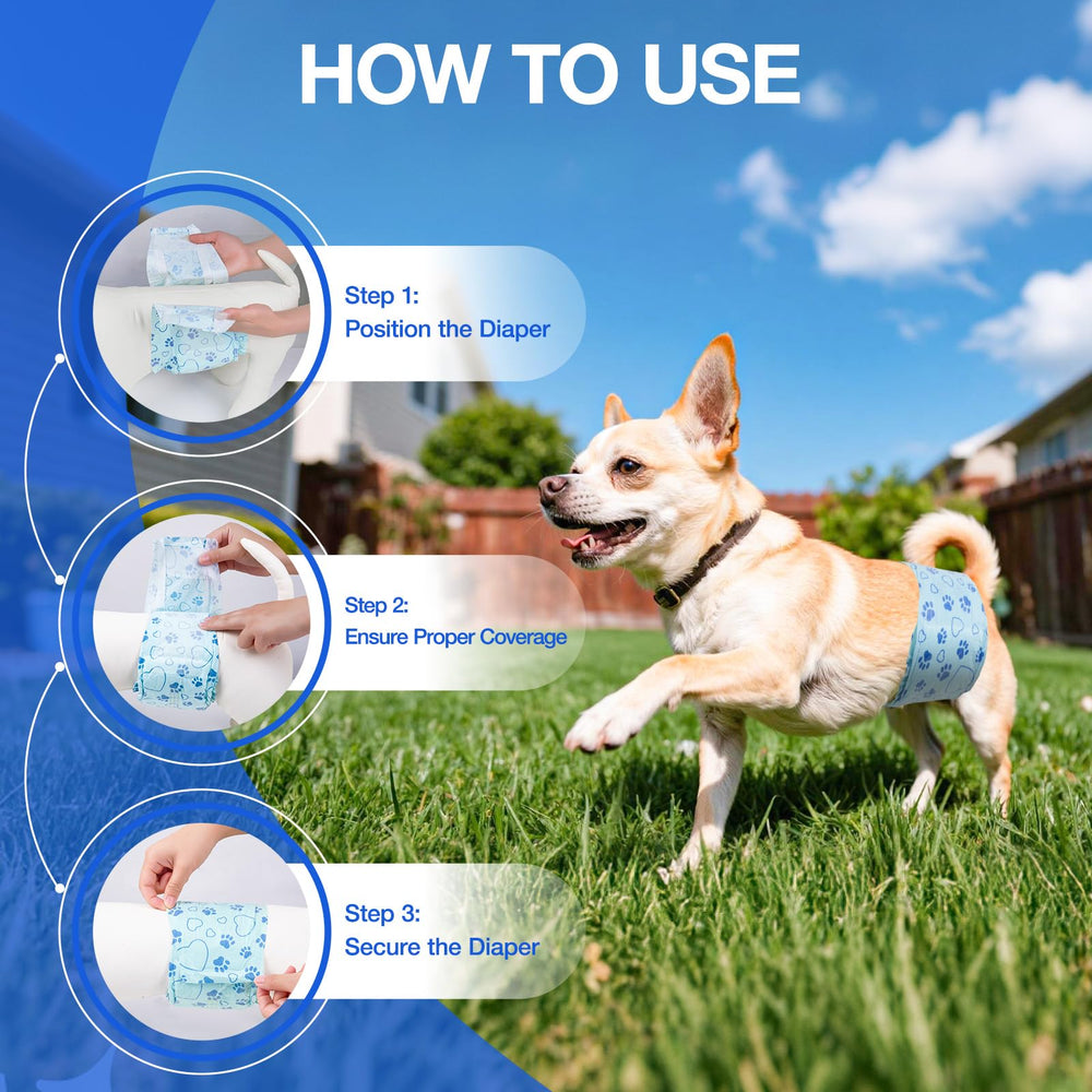 Ajuste XS de Flying Paws para perros pequenos y confort diario.
