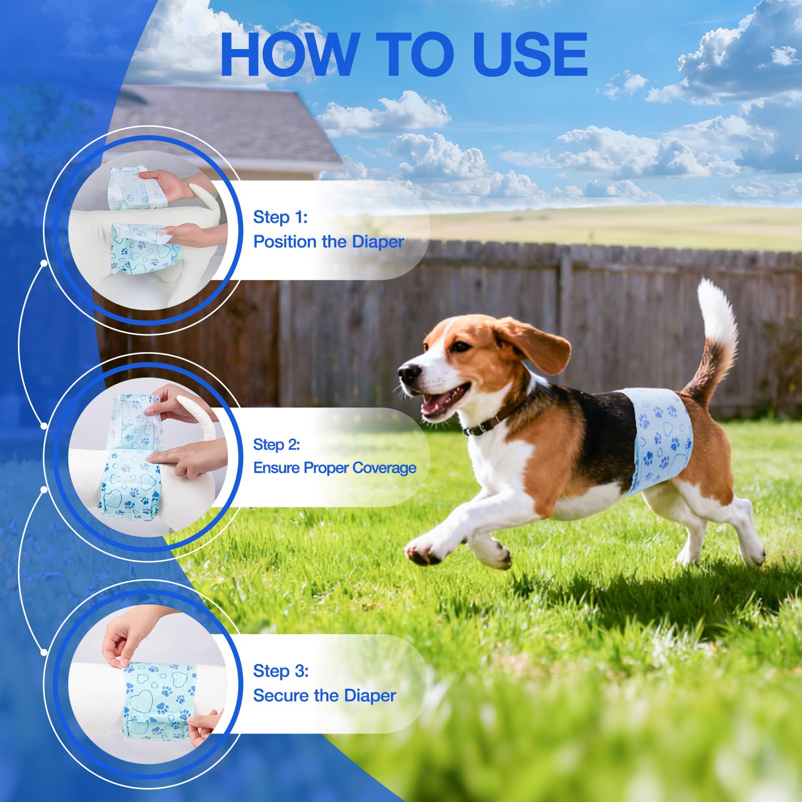 Flying Paws, ideal para entrenamiento de cachorros y control diario.