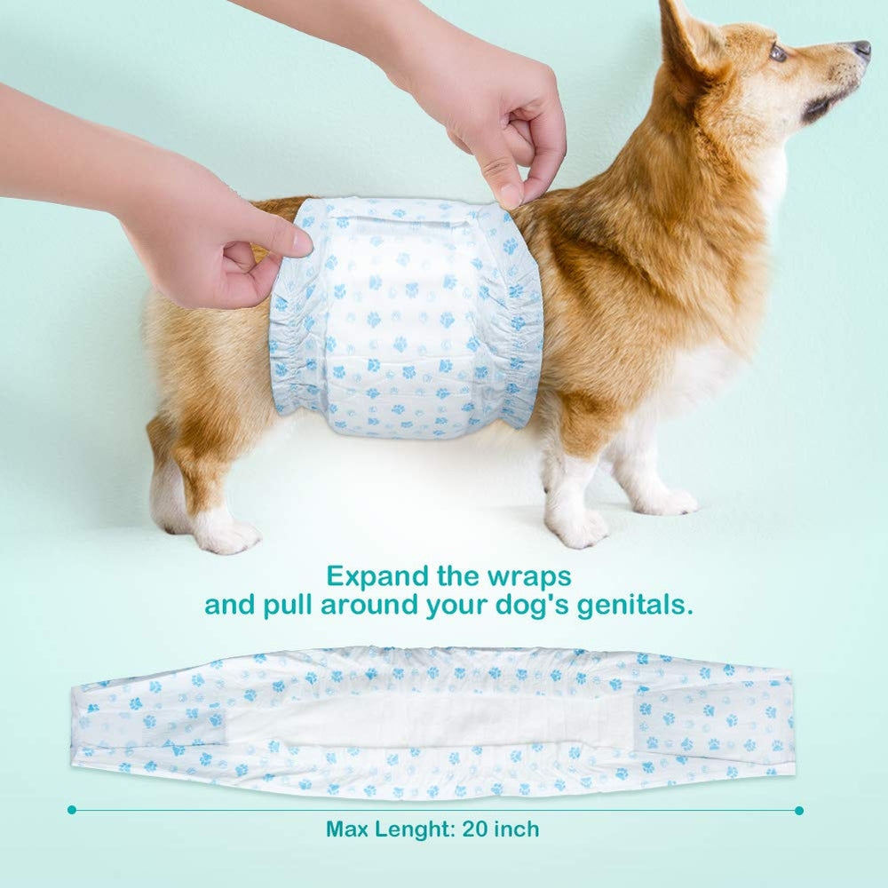 Núcleo absorbente de Flying Paws mantiene la orina contenida durante la actividad.
