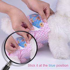 Pañales Flying Paws para perra prácticos para viajes y salidas.
