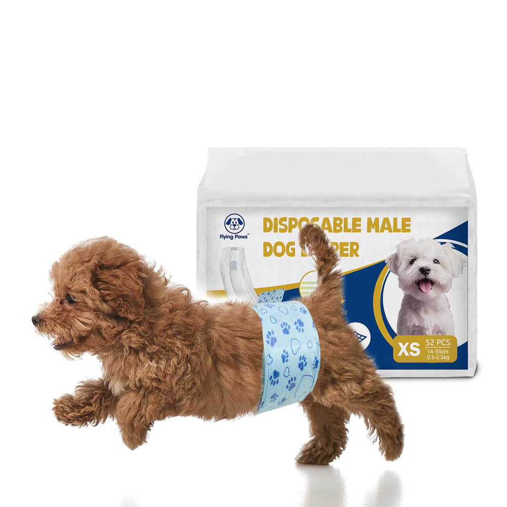 Pañales Flying Paws para perros machos con indicador de humedad para higiene sencilla.