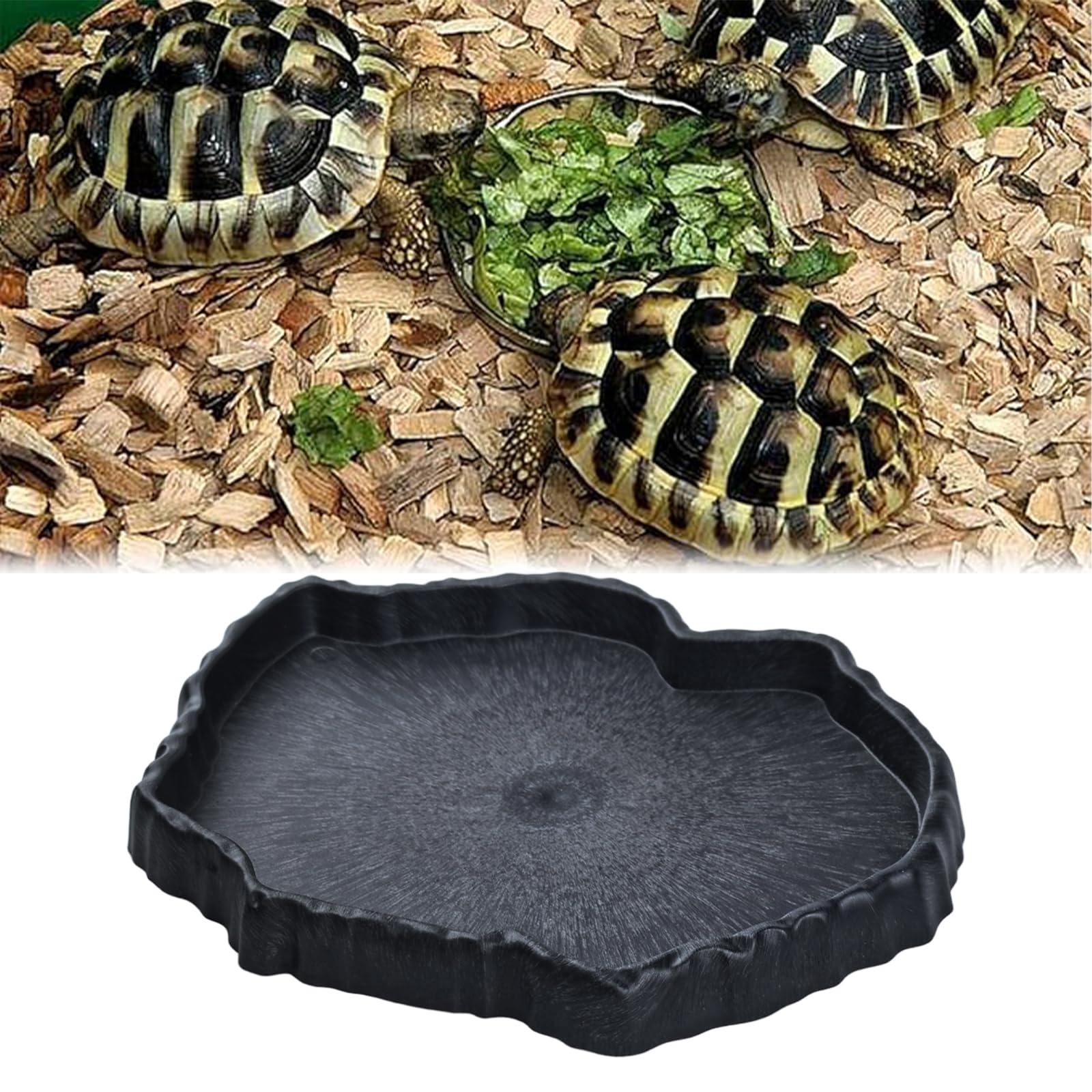 Flylin plato reptil uso versátil en terrario para varias especies.