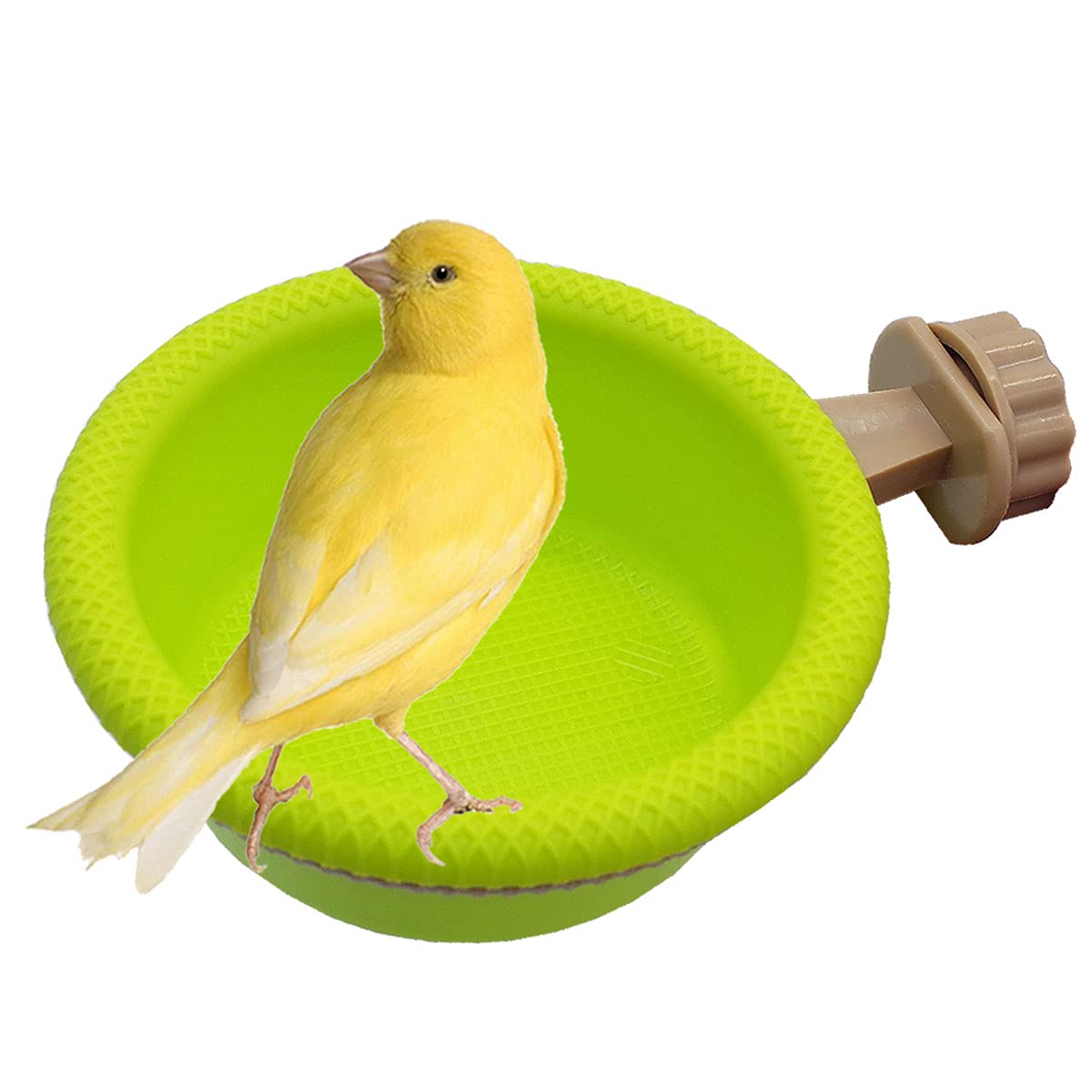 FOIBURELY baño multifunción para aves, vista frontal, seguro y cómodo para el baño.