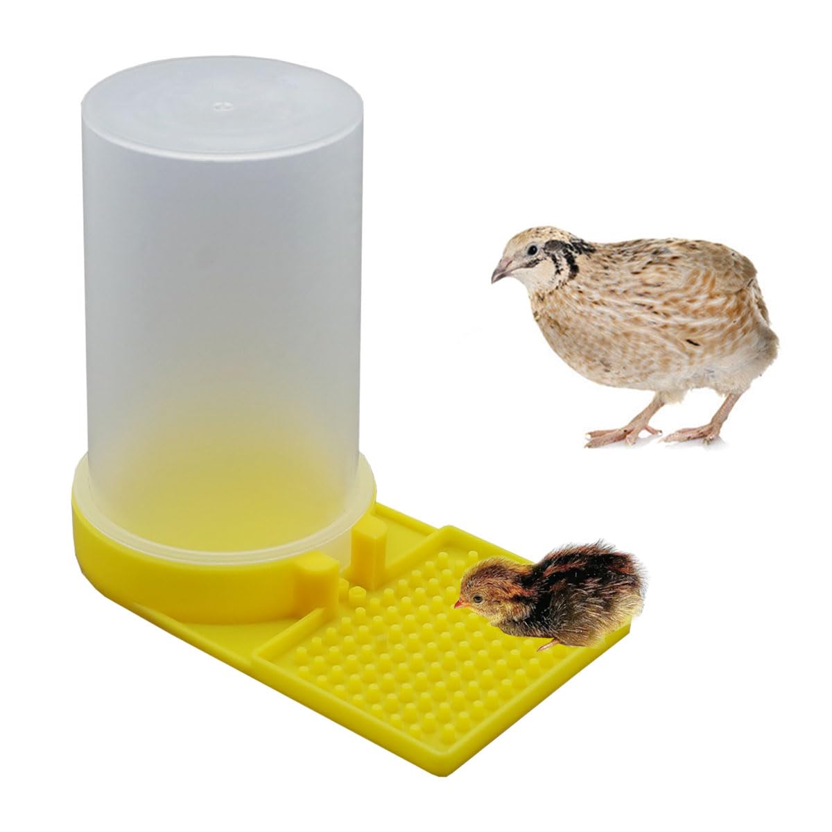 Bebedero FOIBURELY para aves de botón amarillo, diseño estable para jaulas.