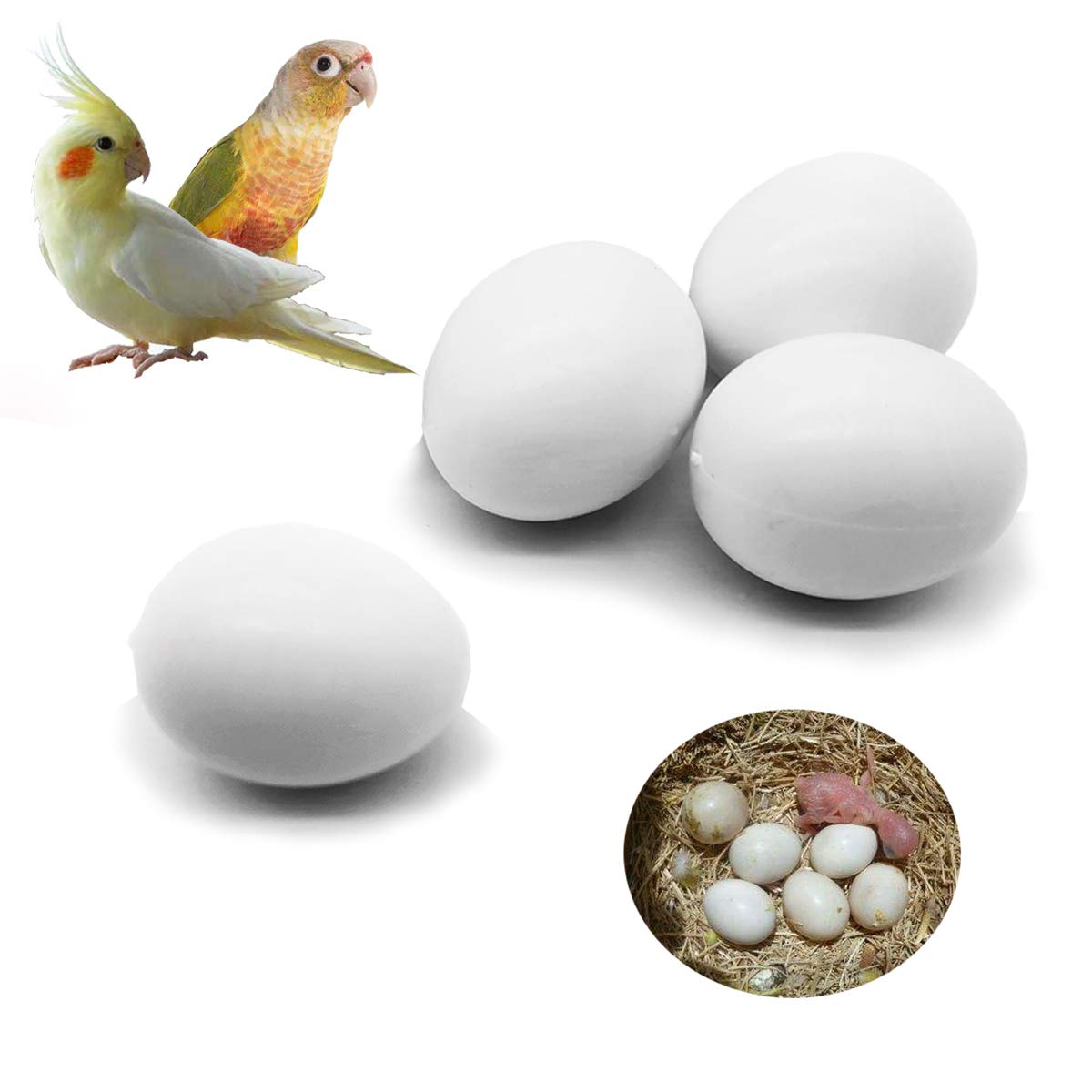 FOIBURELY: huevos plásticos falsos para aves en nido con aspecto realista.