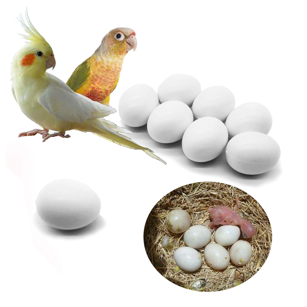 FOIBURELY huevos plásticos realistas para aves pequeñas, útiles para gestionar la puesta