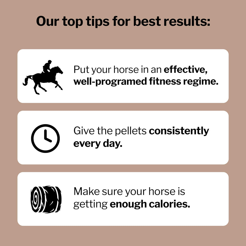 Envase práctico para dosificación diaria del caballo.