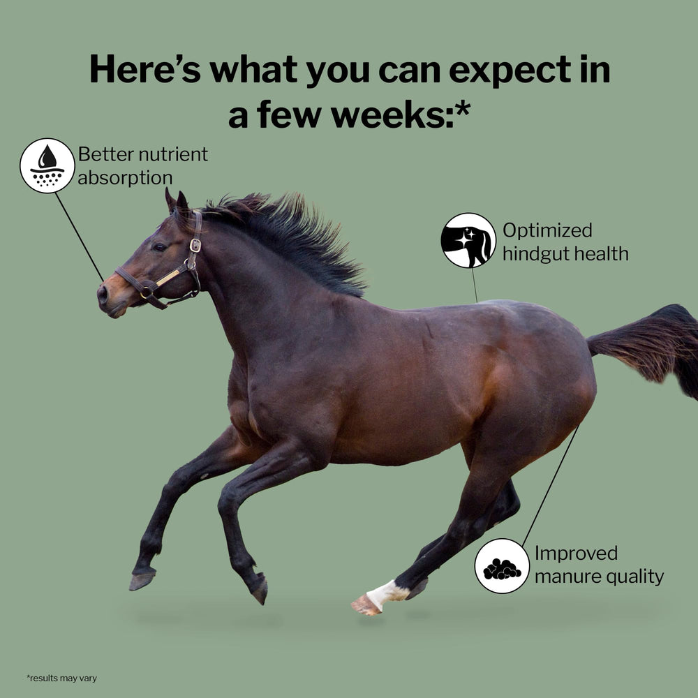 Formula 707: prebióticos para caballos que respaldan el crecimiento de microorganismos.