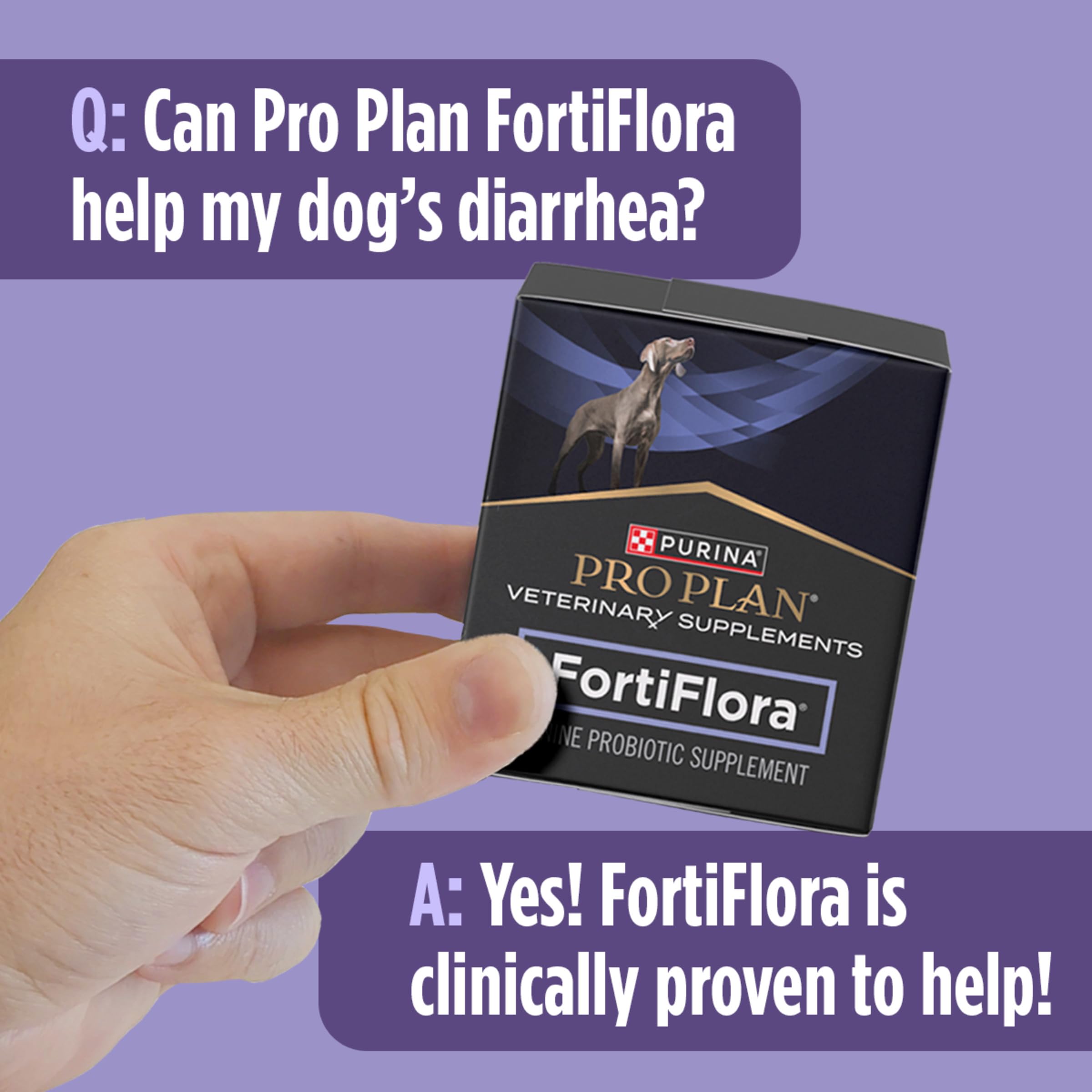 FortiFlora apto-cachorros-y-perros-adultos, uso diario.