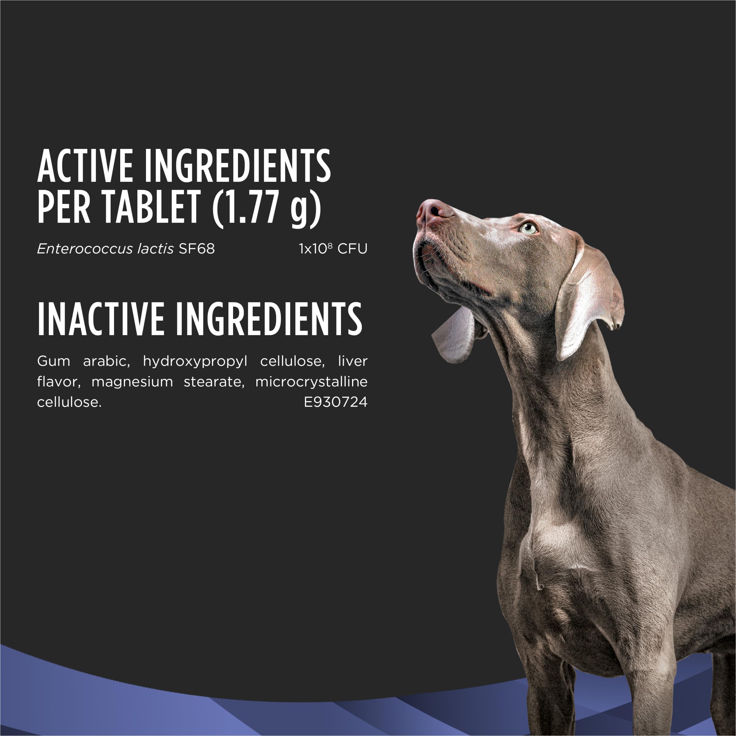 Perro contento con FortiFlora, apoyo digestivo al alimentarse
