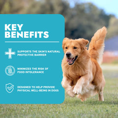 Etiqueta Forza10 con información nutricional para perros