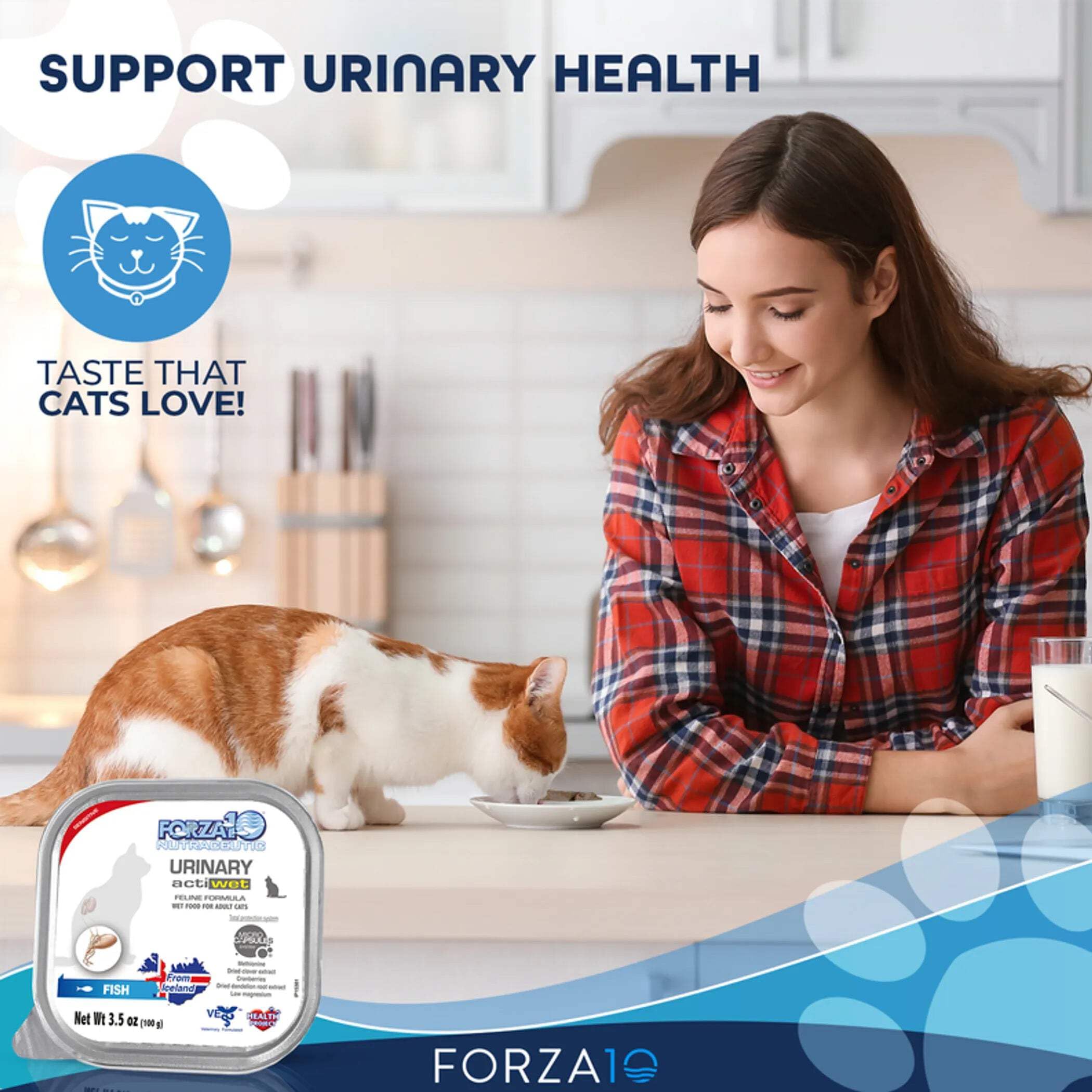 Gato disfrutando Forza10, comida húmeda con salmón