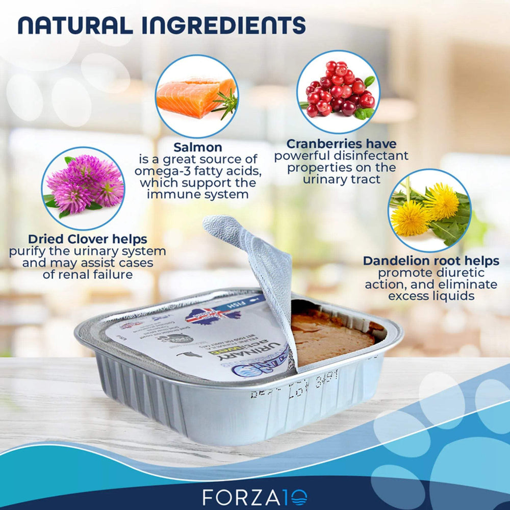 Forza10 ayuda a la salud urinaria del gato gracias a ingredientes naturales