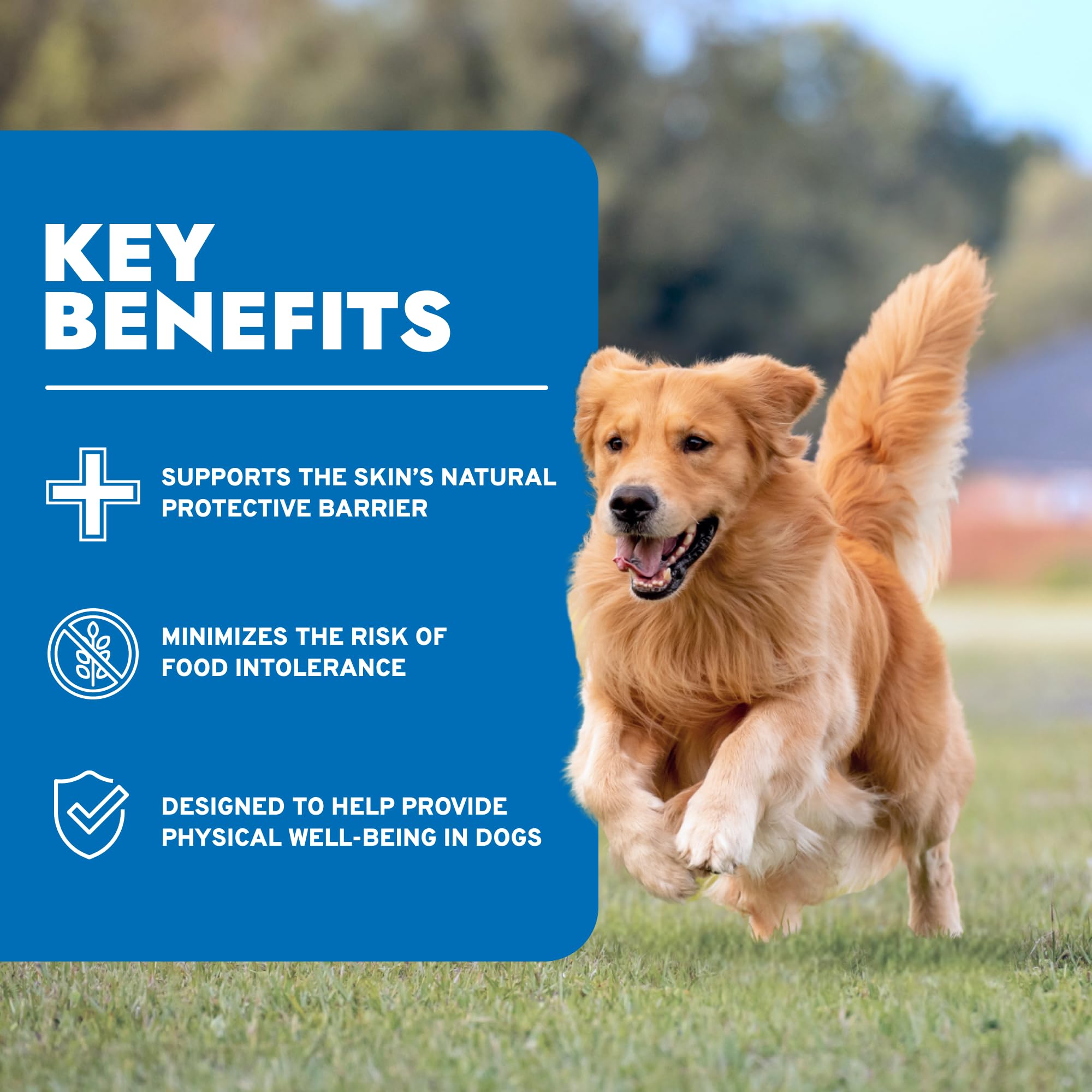 Forza10: ingredientes sin transgénicos para alimentación natural de perros.