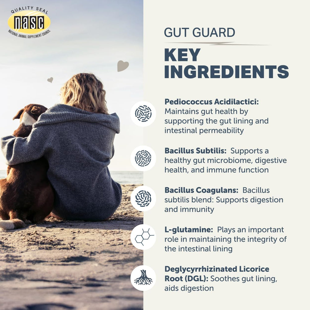 Cucharilla de medición de Gut Guard para dosis precisa en casa.