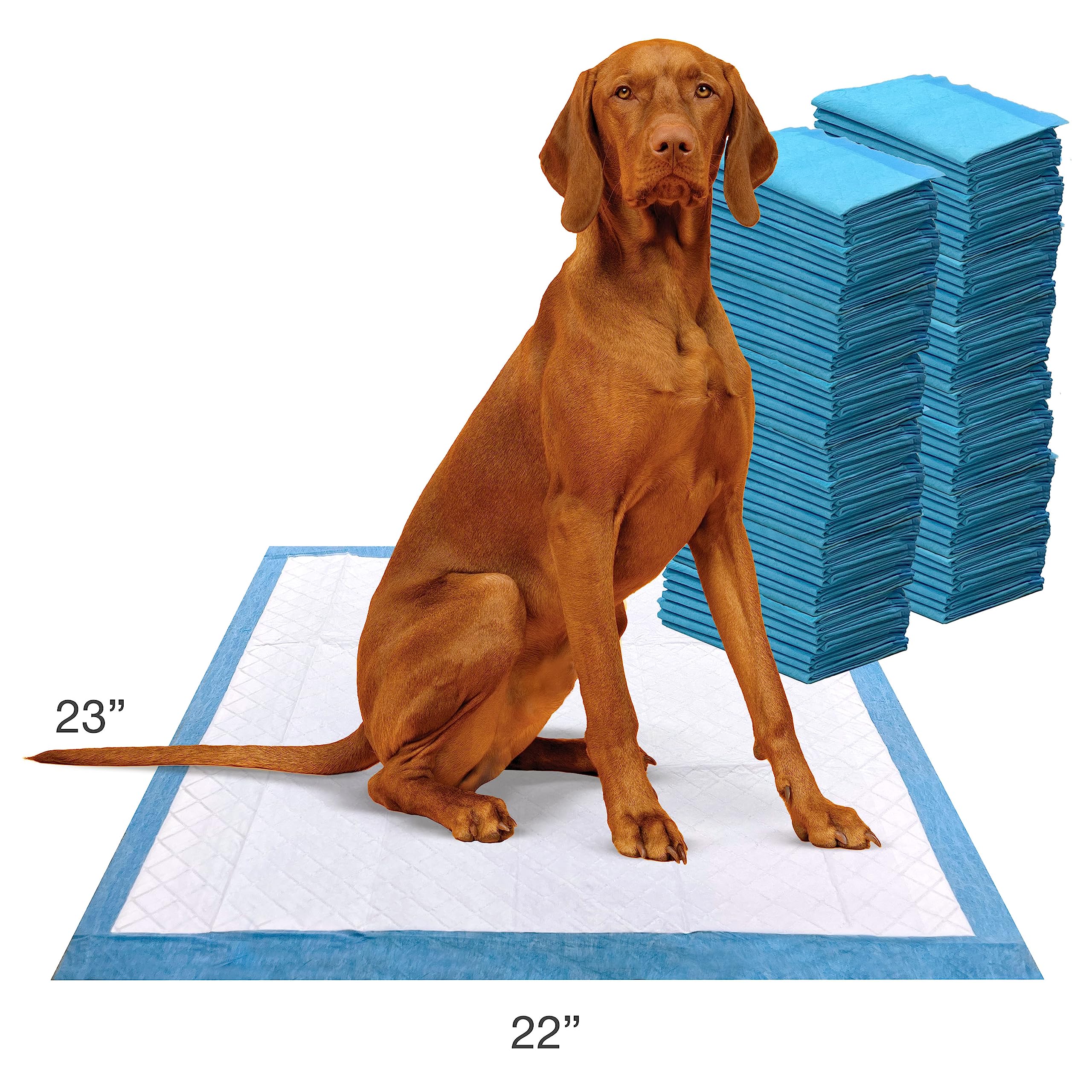 Four Paws Wee-Wee: núcleo que retiene líquidos para uso diario.