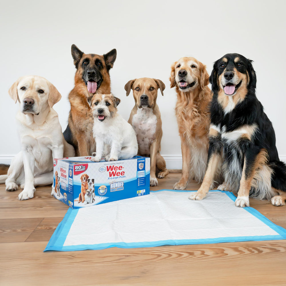 Empaque compacto Wee-Wee de Four Paws para reducir desecho.