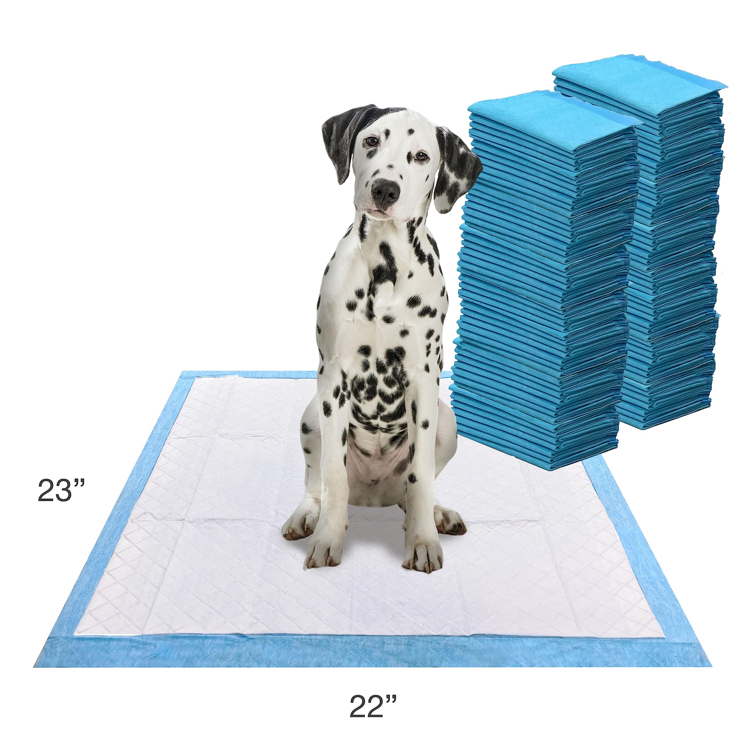 Four Paws Wee-Wee pad tallas para perros de todos los tamaños.