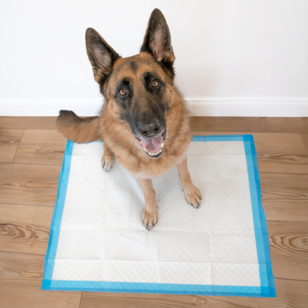 Four Paws Wee-Wee para razas grandes, 28 por 34 pulgadas