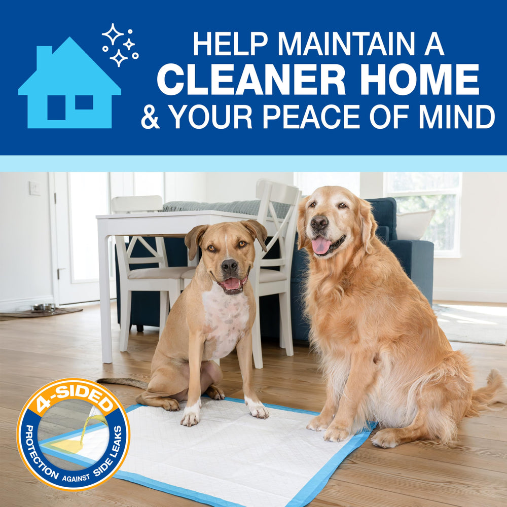 Four Paws Wee-Wee superficie limpia y agradable al uso