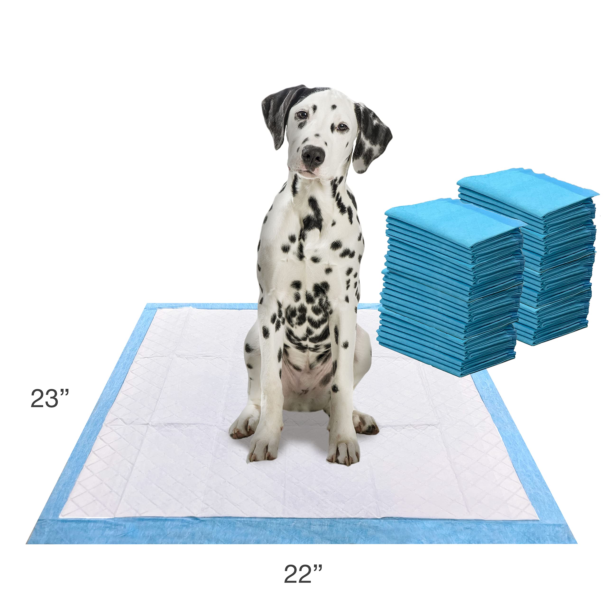 Four Paws Wee-Wee: empaque compacto y sostenible