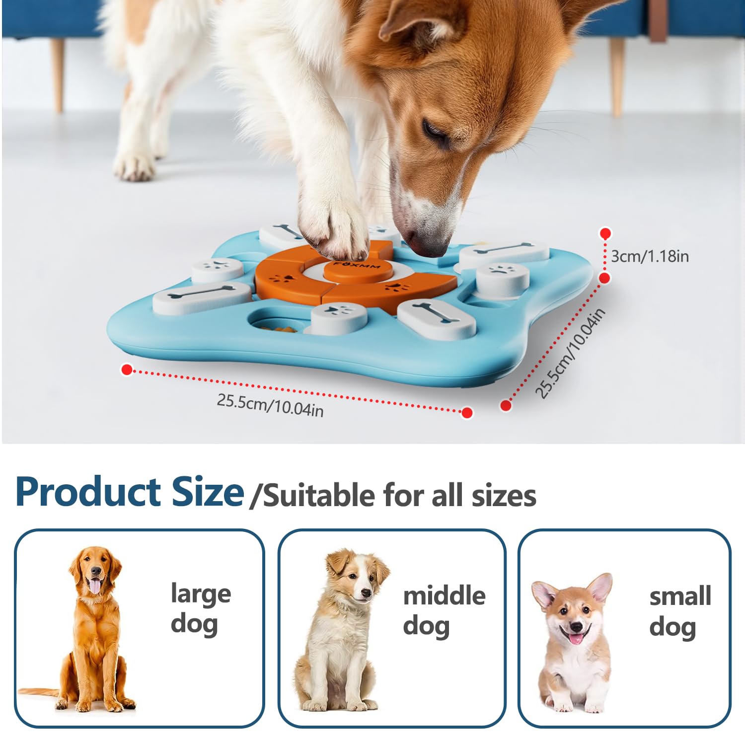 FOXMM jouet puzzle chien sécurité et durabilité avec matériel PP