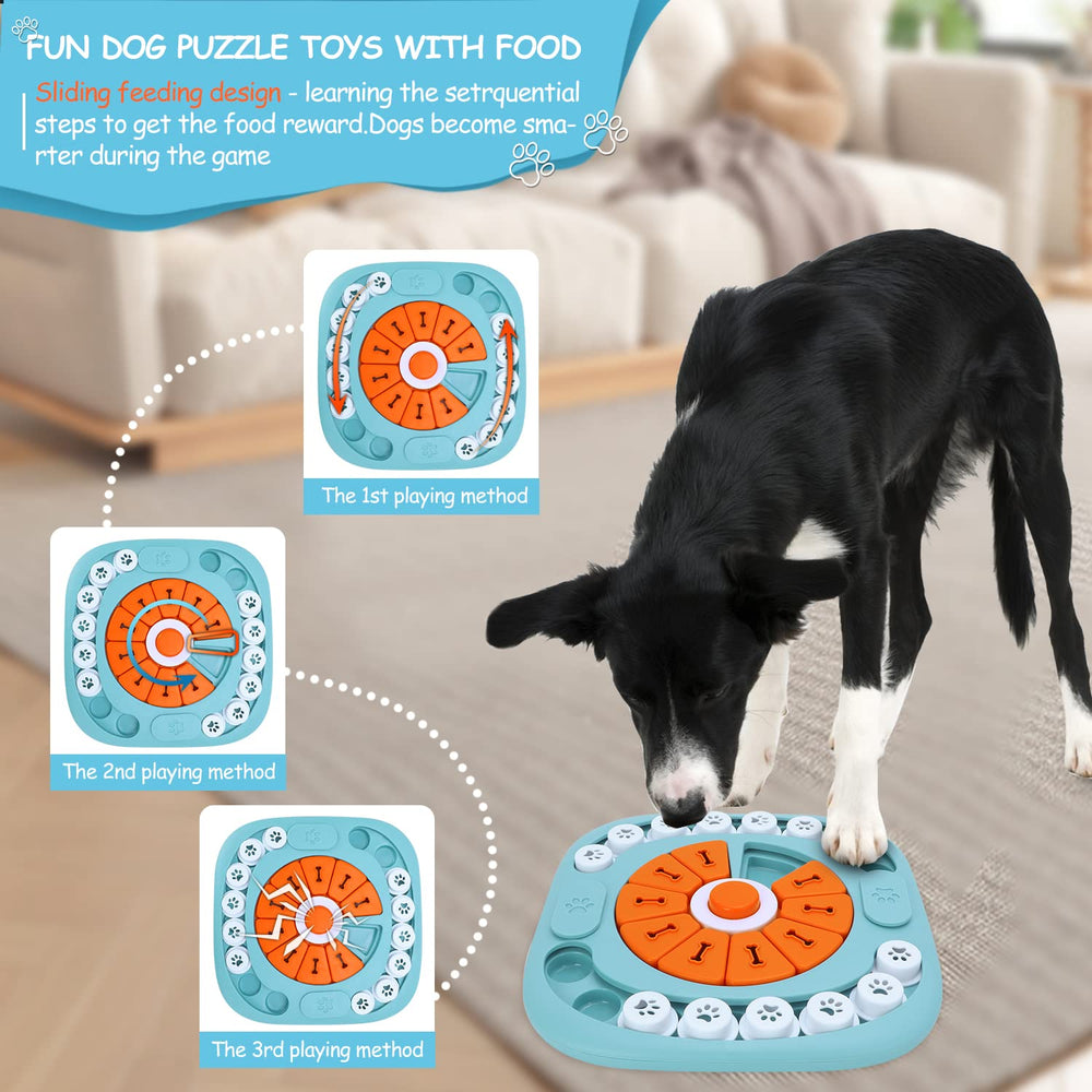 FOXMM juego diario en casa entre dueño y perro para estimulación