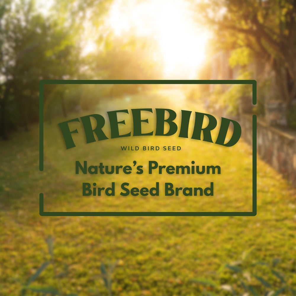 FREEBIRD semillas de invierno: nutrición para aves todo el año en exteriores.