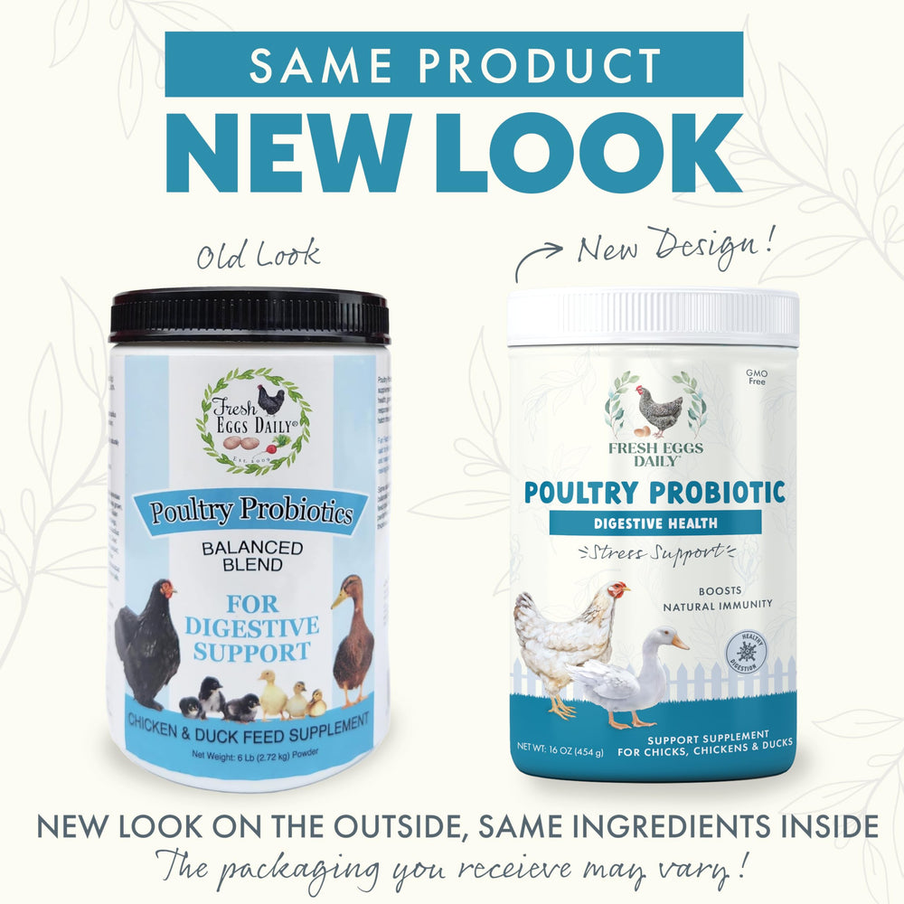 Fresh Eggs Daily Probiotics en dosificador, dosis diaria para aves, mejora absorción de nutrientes.