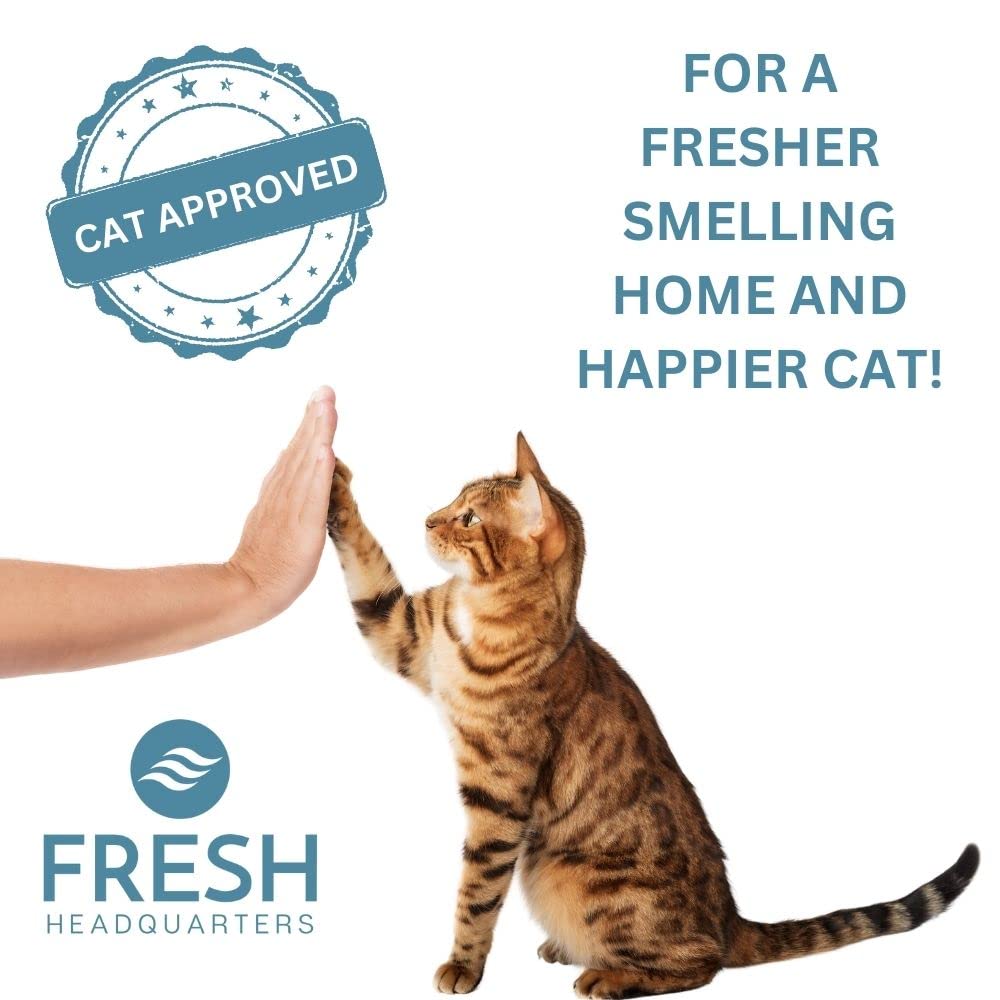 Mejora del aroma ambiental gracias a Fresh Headquarters en casa.