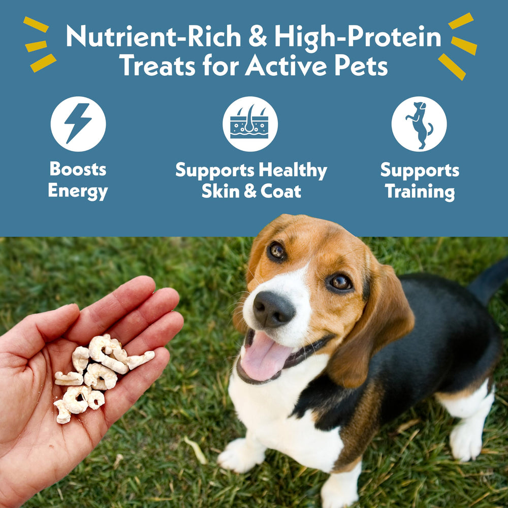 Fresh Is Best camaron salvaje Pacífico, snack para perros y entrenamiento