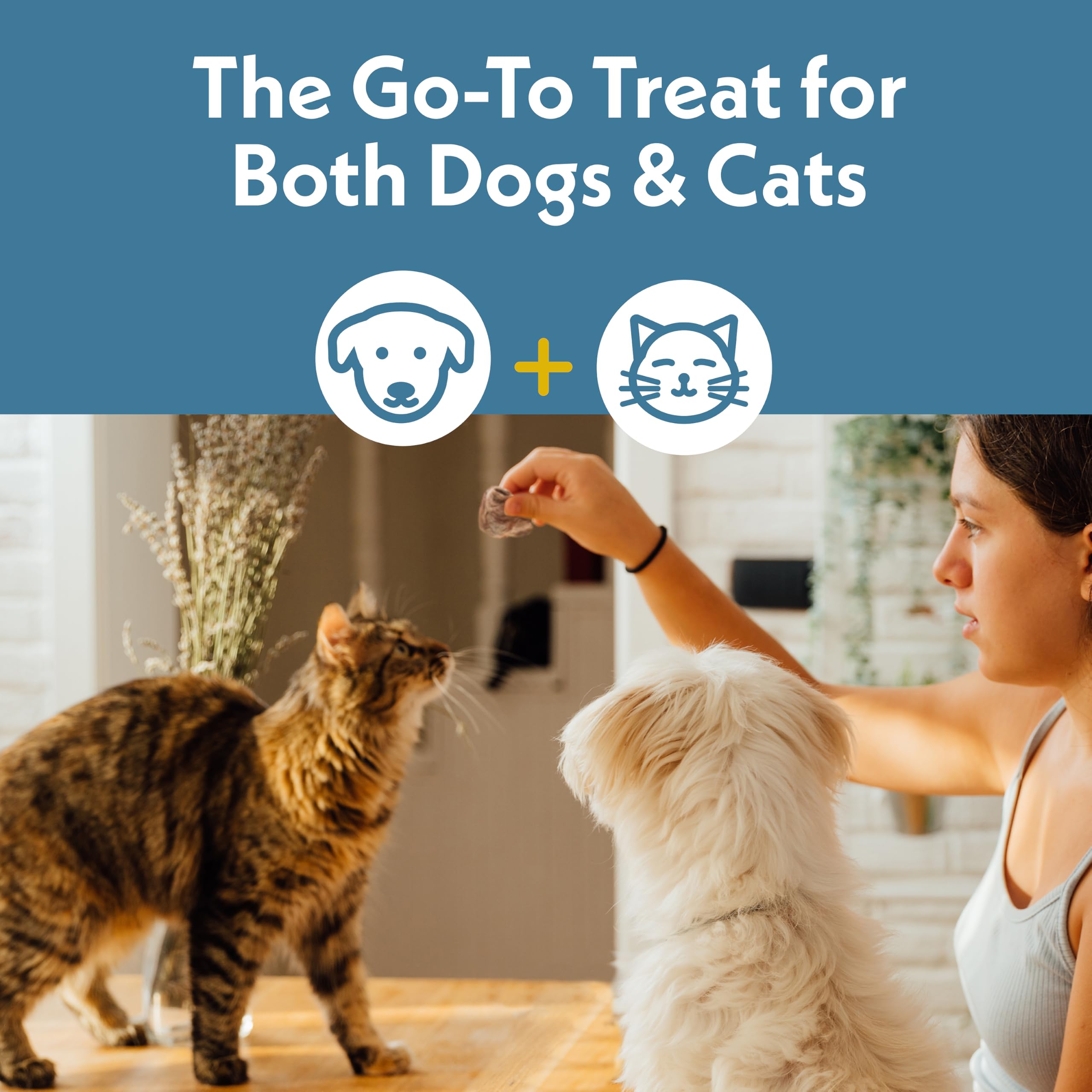 Fresh Is Best: premio de entrenamiento para perros y gatos.