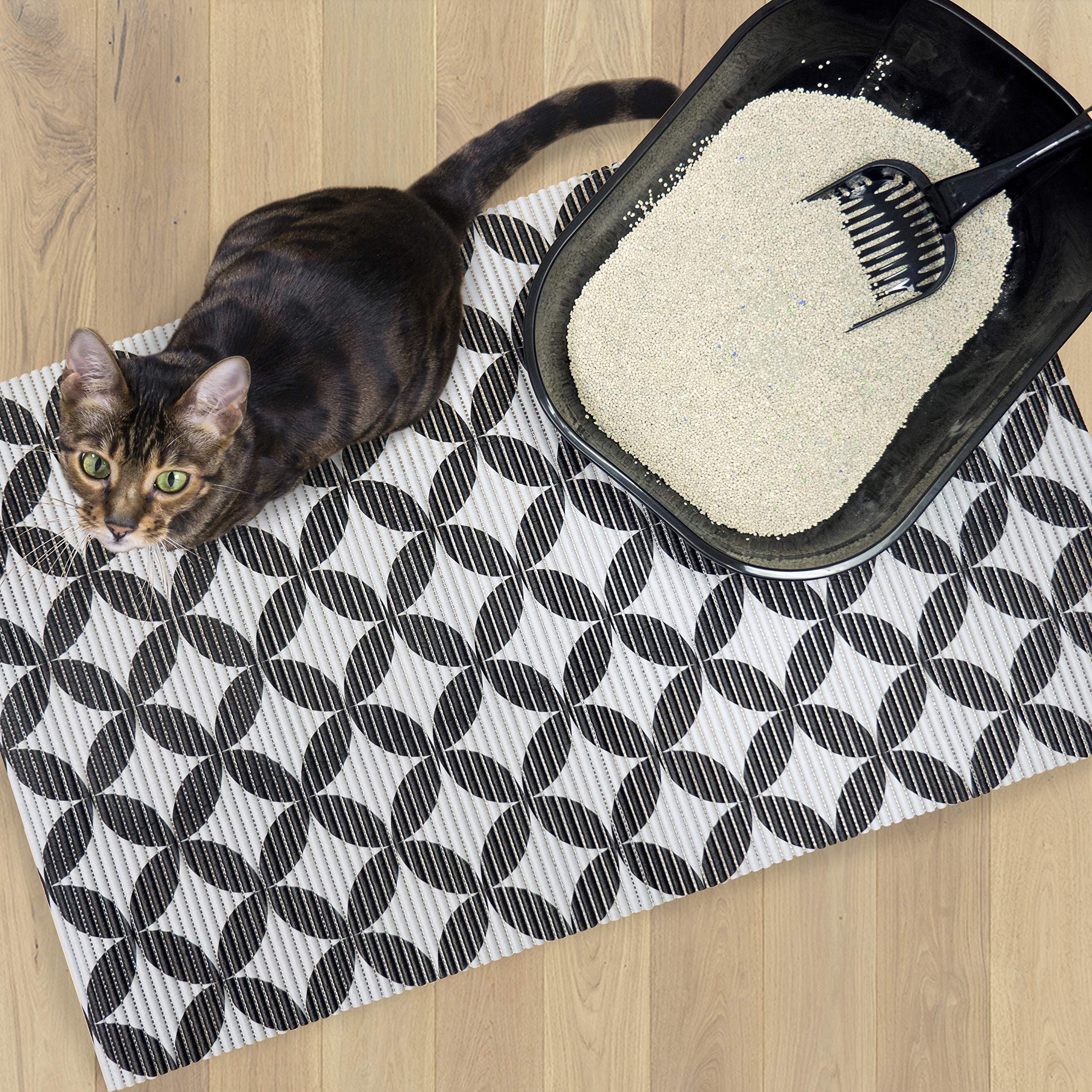 Fresh Kitty tamaño 40x25 XL ofrece cobertura amplia