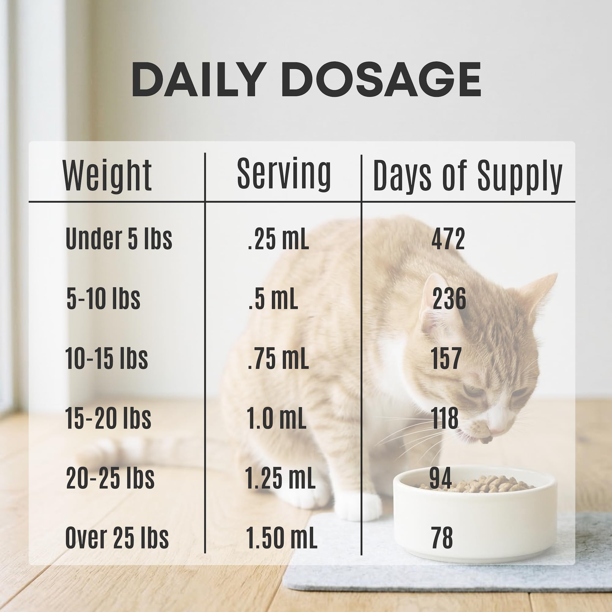 Freshly Bailey Omega3 for cats supports smoother fur and healthier skin.