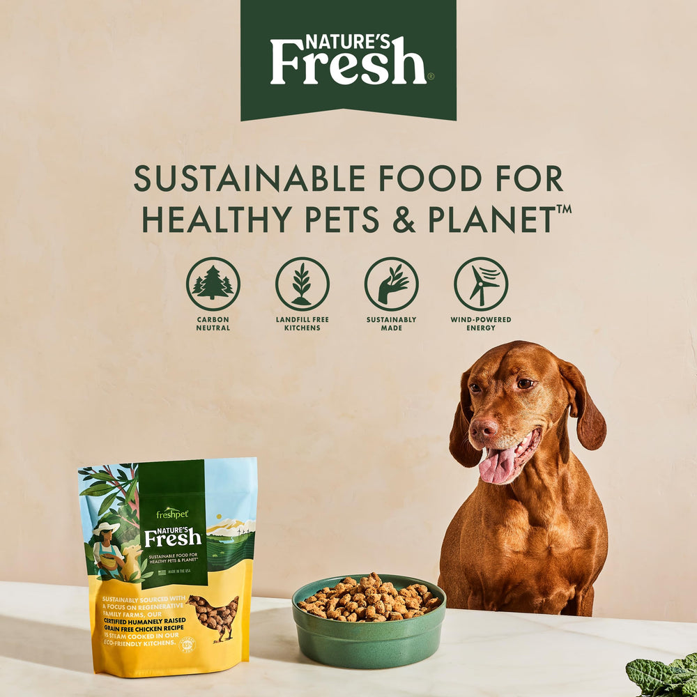 Freshpet comida refrigerada para perros de todas las tallas