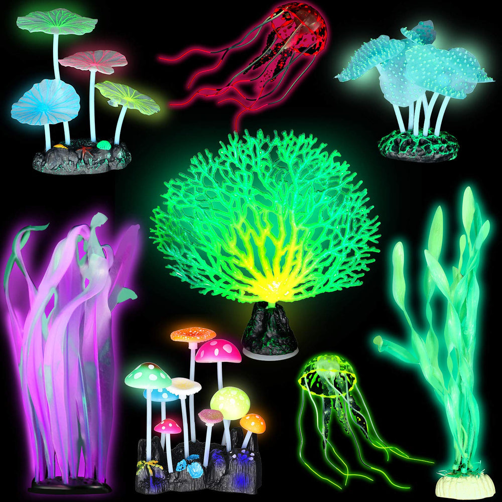 Frienda alga luminosa verde con base cerámica para acuario estable