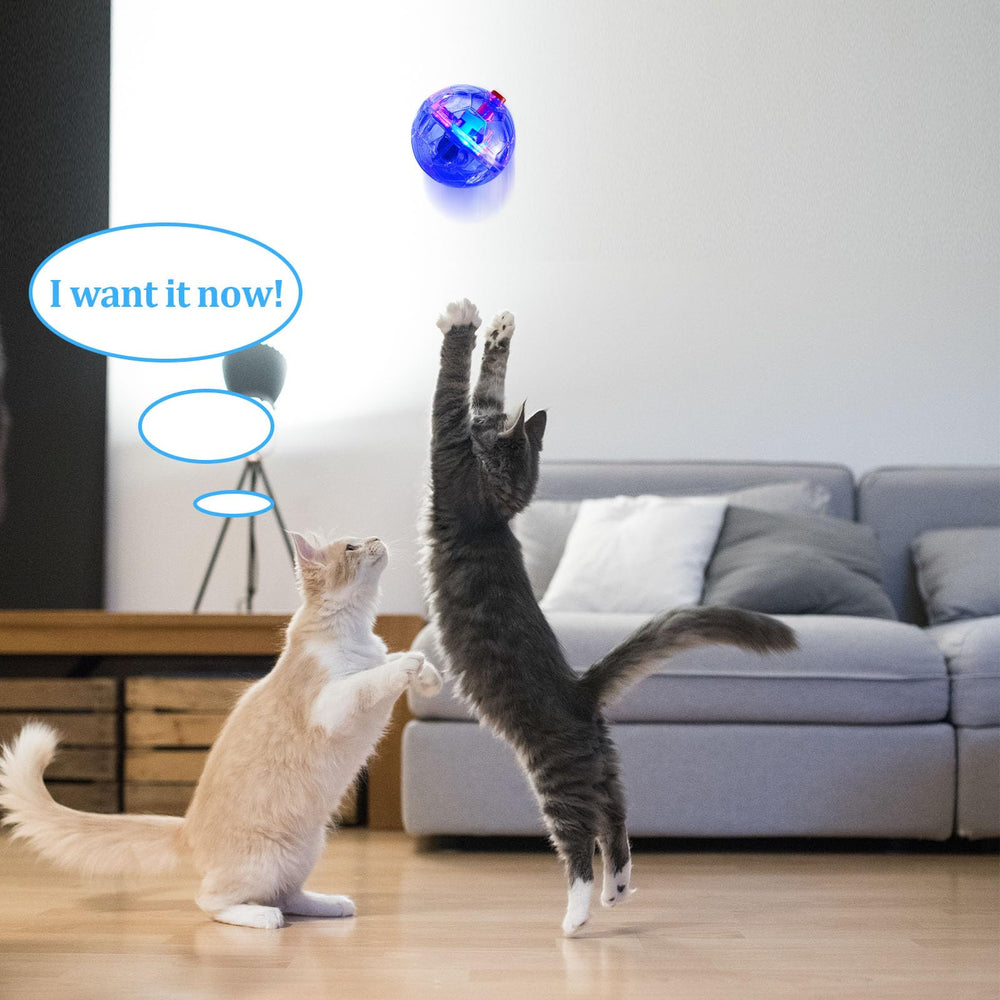 Frienda ensemble de balles lumineuses, cadeau parfait pour animaux
