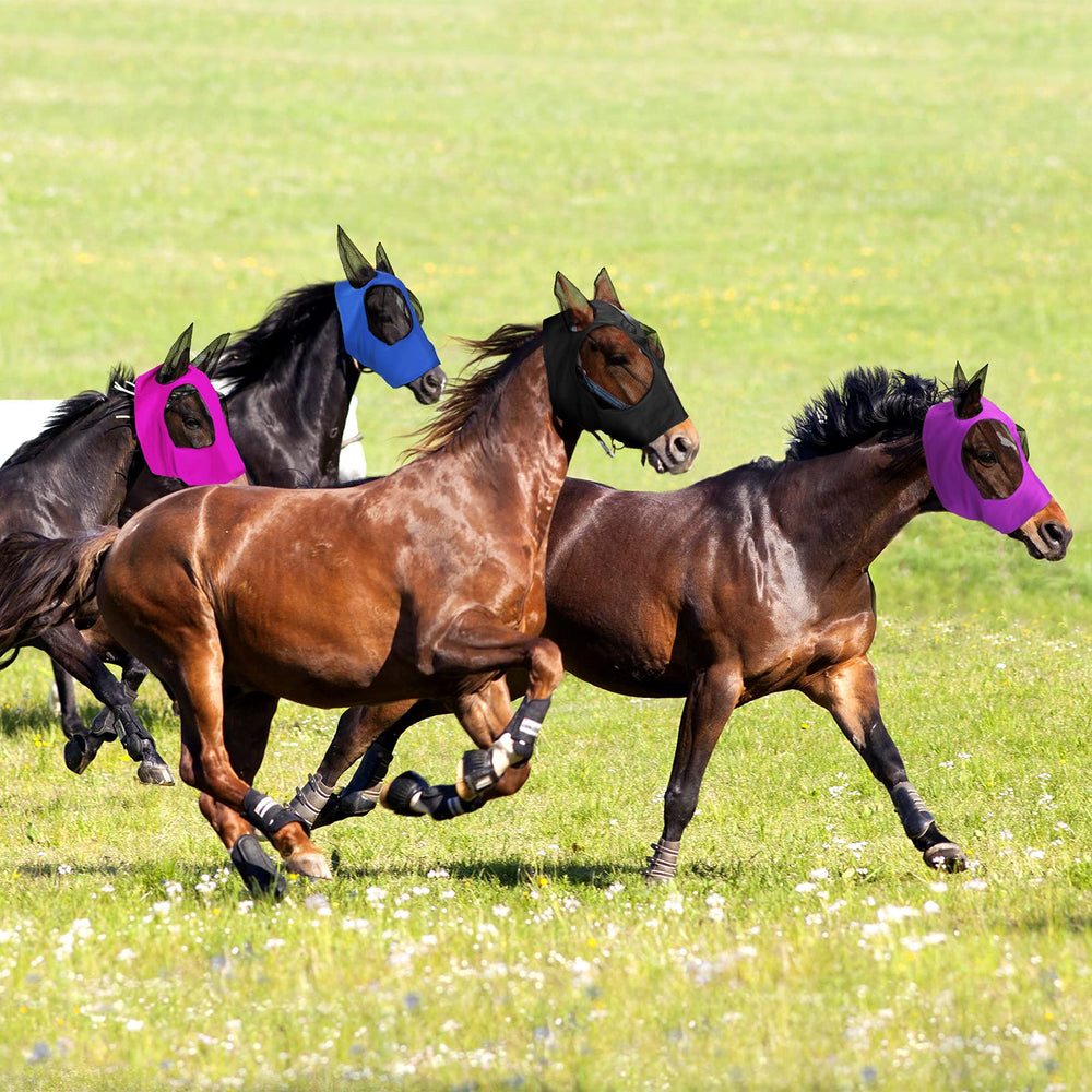 Frienda protección suave mantiene insectos a raya sin estresar al caballo