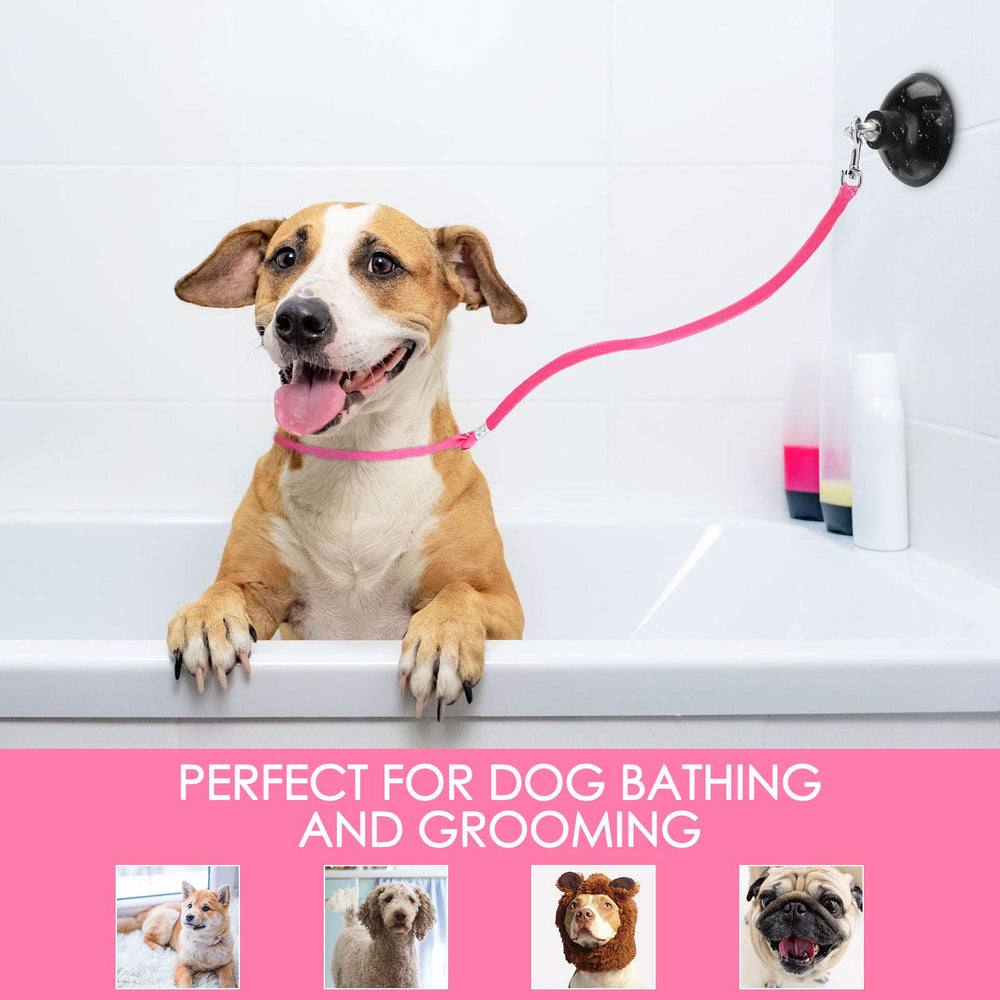 Frienda set de cuatro piezas, perfecto para grooming diario