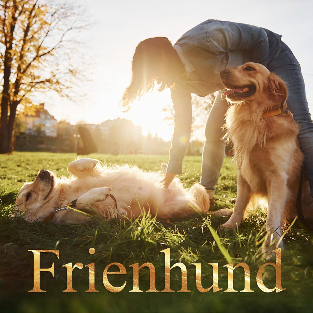Frienhund sabor bacon, aroma canino que incentiva el juego.