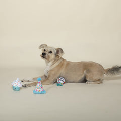 Fringe Studio: juguete con sonajero para perro pequeño, ideal para buscar