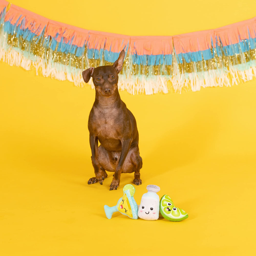 Fringe Studio: juguete de talla extra-pequena para perros pequeños, ideal para morder y abrazar.