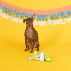 Fringe Studio: juguete de talla extra-pequena para perros pequeños, ideal para morder y abrazar.