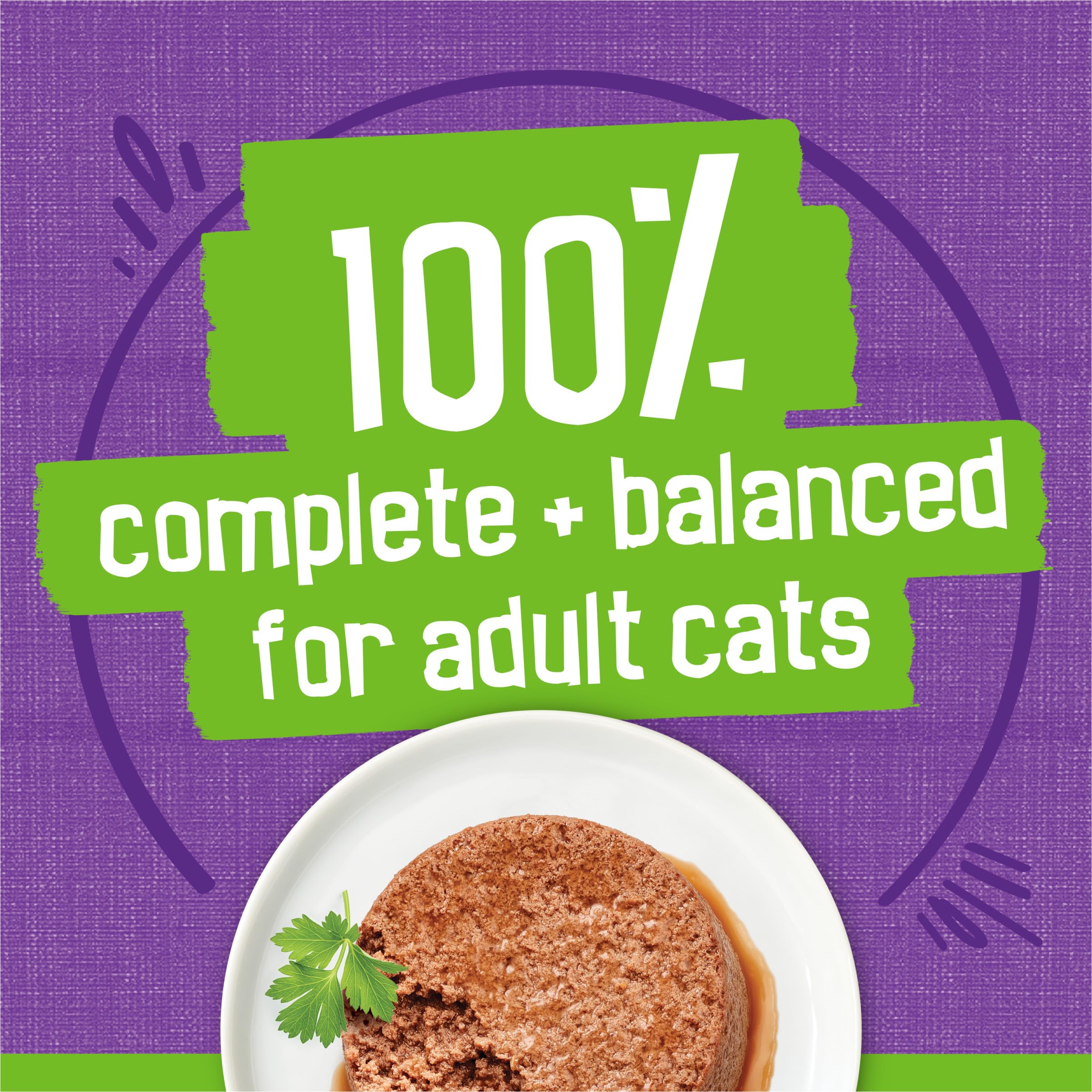 Friskies pate con pavo y menudillos sin conservantes artificiales