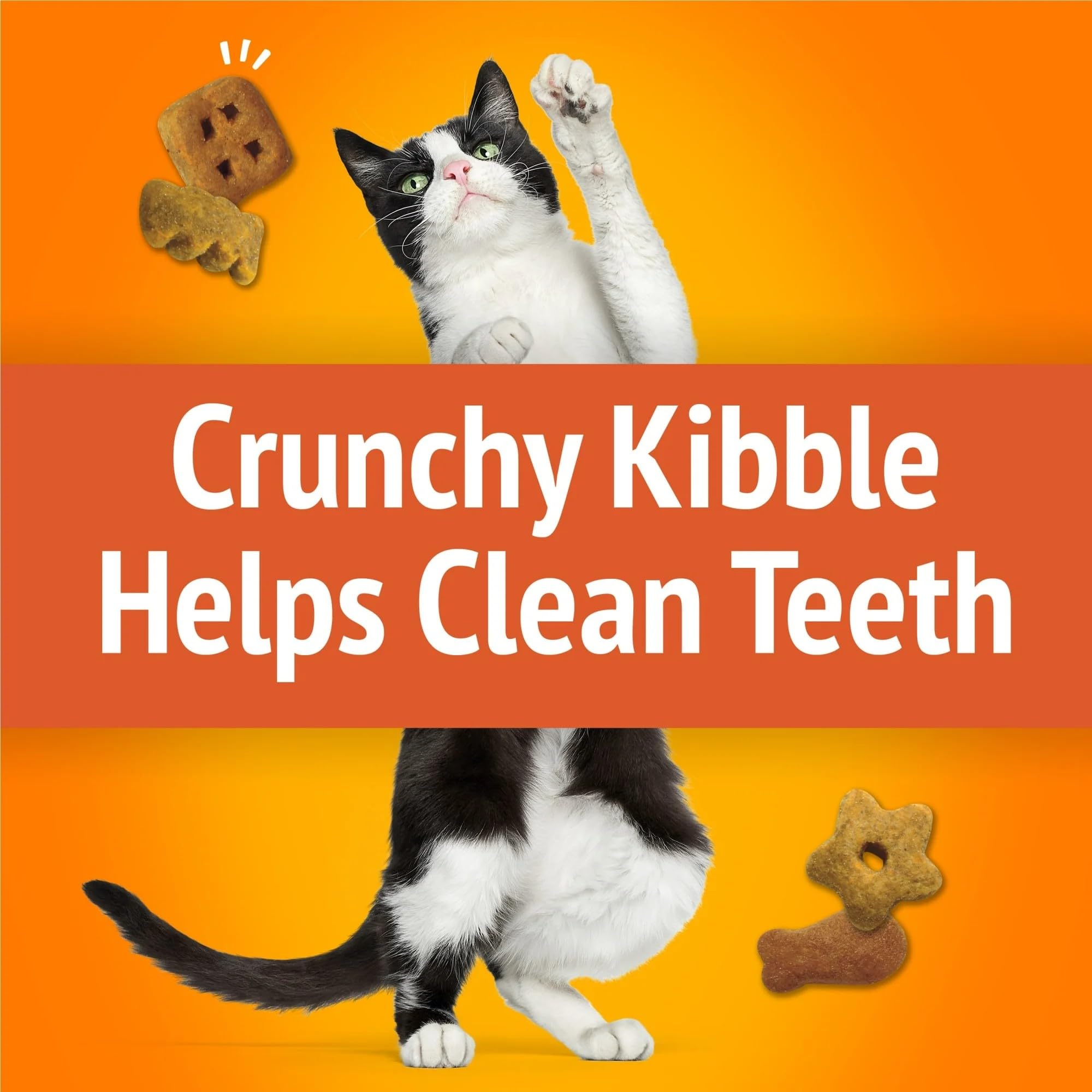 Friskies formas divertidas para juegos y recompensa.