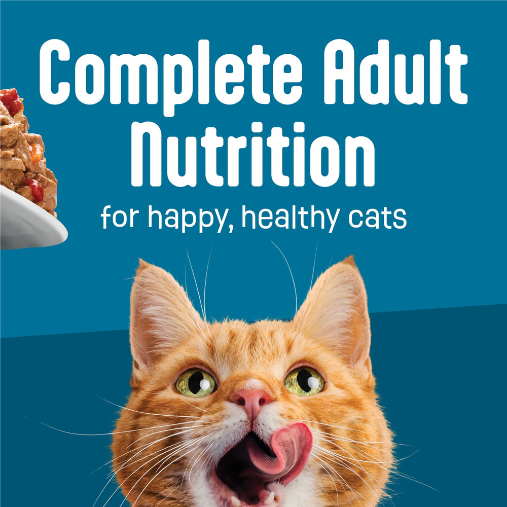 Friskies Fully Load’d: textura chunky que favorece la masticación y la experiencia sensorial.